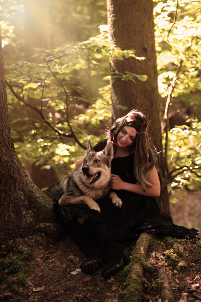 Wolf Shooting Thüringen