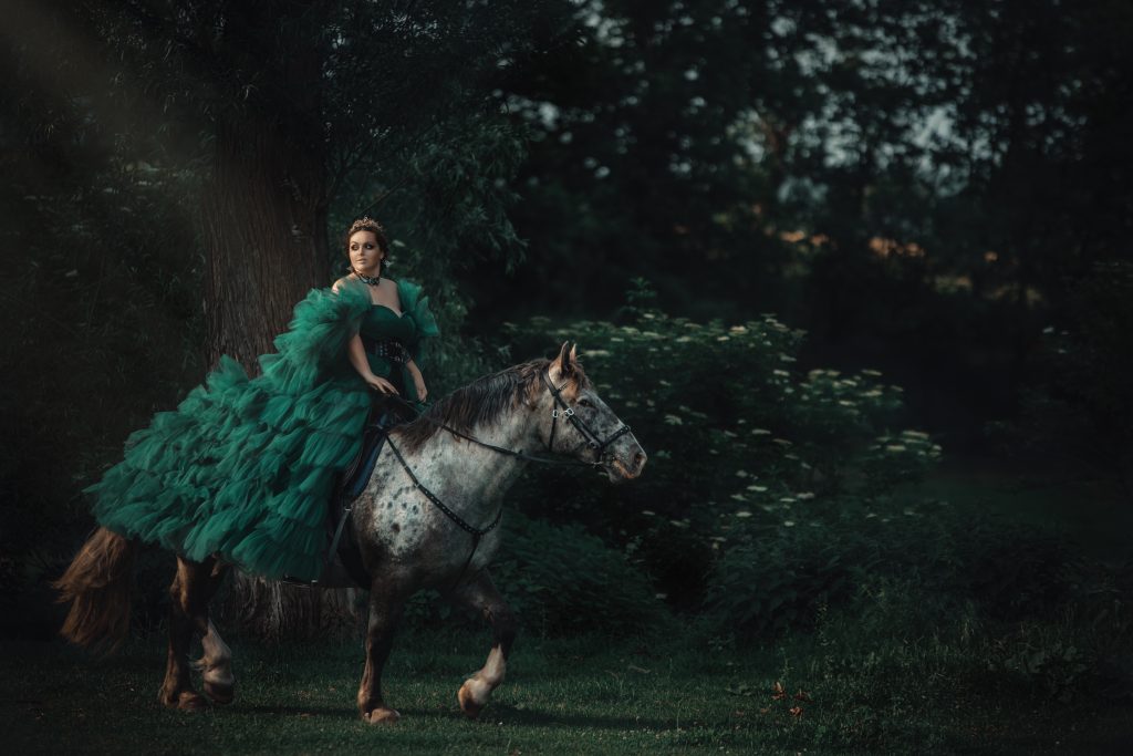 TfP Shootings Bedeutung - Pferde Fantasyshooting